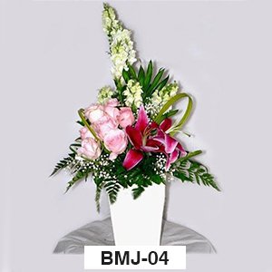 BMJ04