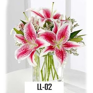 LL02