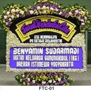 FTC01