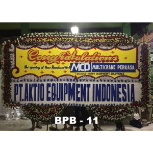 BPB11