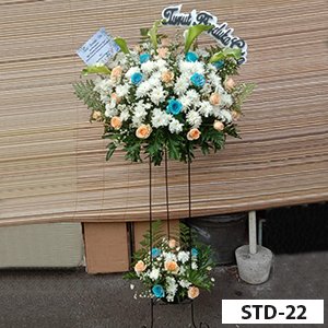 STD-22