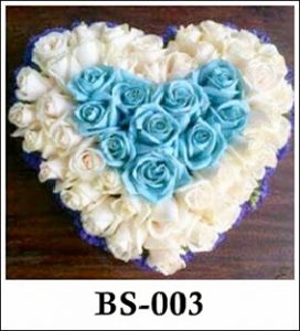 BS003-272x300 BS003