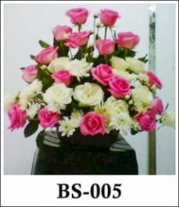 BS005-Copy-259x300 BS005 - Copy