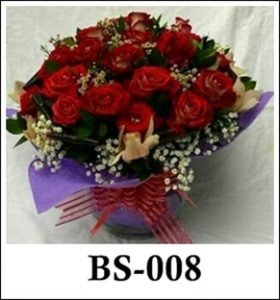 BS008-280x300 BS008
