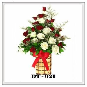 DT21-300x300 DT21