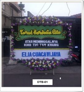DTC01-1-273x300 DTC01-1