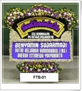 FTC01-1-272x300 FTC01-1