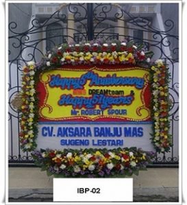 IBP01-1-273x300 IBP01-1
