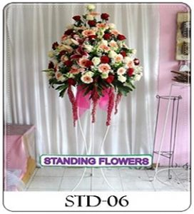 STD-06-1-272x300 STD-06-1