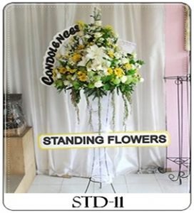 STD-11-1-272x300 STD-11-1