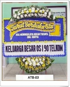 ATC03-244x300 ATC03