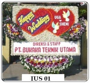 BPU32-300x279 BPU32