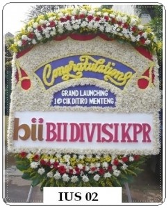 BPU33-242x300 BPU33