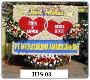 BPU34-300x269 BPU34