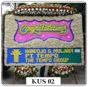 BPU38-300x294 BPU38
