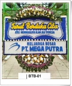 BTC01-251x300 BTC01