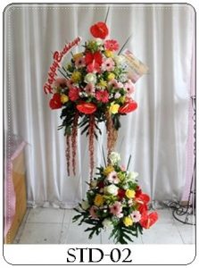 STD-02-1-223x300 STD-02-1