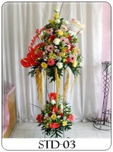 STD-03-2-224x300 STD-03-2
