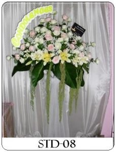 STD-08-1-228x300 STD-08-1