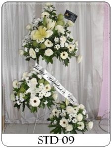 STD-09-1-227x300 STD-09-1