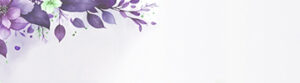 BG-Salsha-2-2-300x83 BG-Salsha-2 (2)