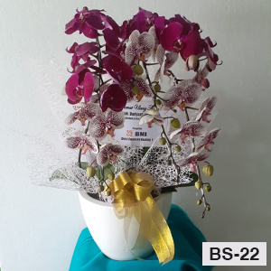 Bunga Meja Elegance BS22