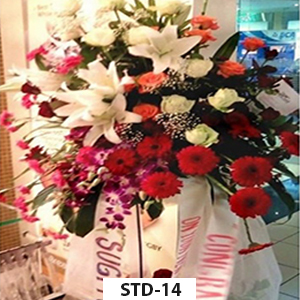 Bunga Standing STD14
