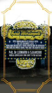 BCFO1191-169x300 BCFO1191