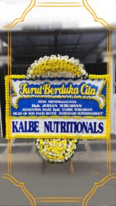 BKFQ0169-169x300 BKFQ0169