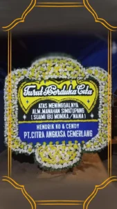 QHDC1087-169x300 QHDC1087
